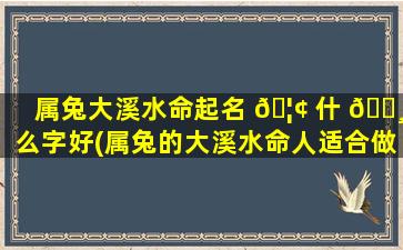 属兔大溪水命起名 🦢 什 🕸 么字好(属兔的大溪水命人适合做什么生意)